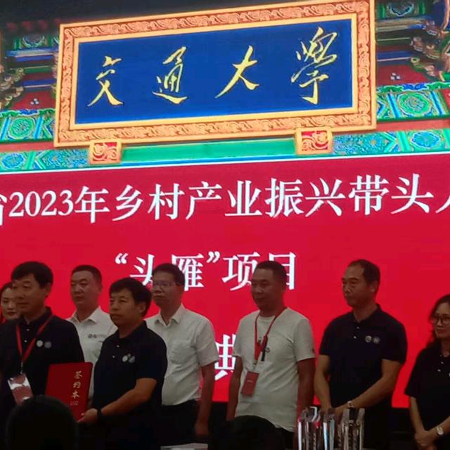 乡村隐藏的美丽(陈)