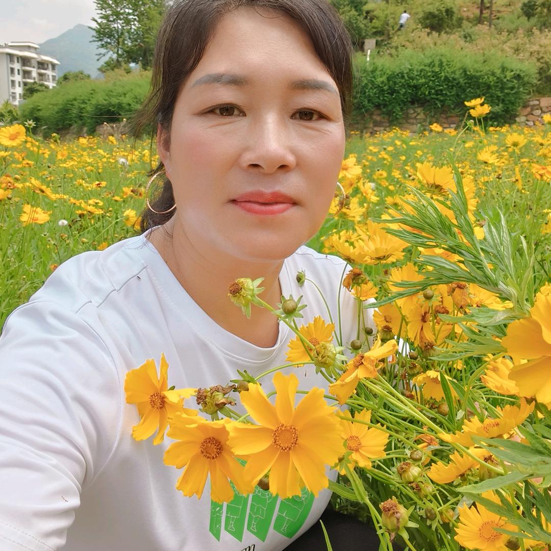 晏丽华