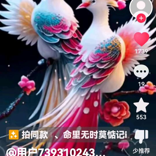 飞天