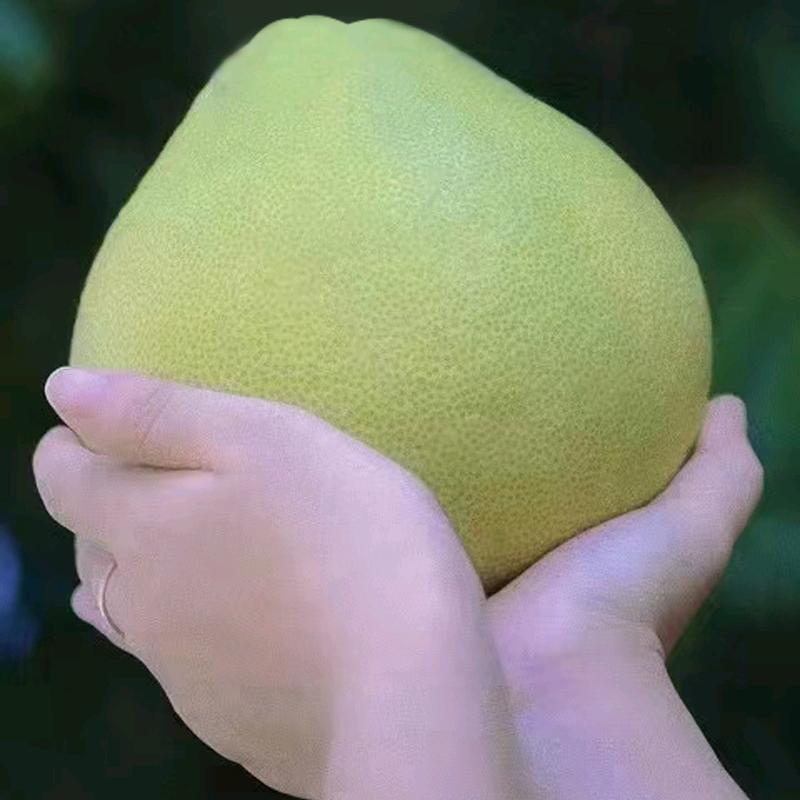 LOVE柚