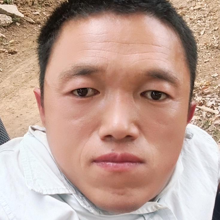 对酒当歌