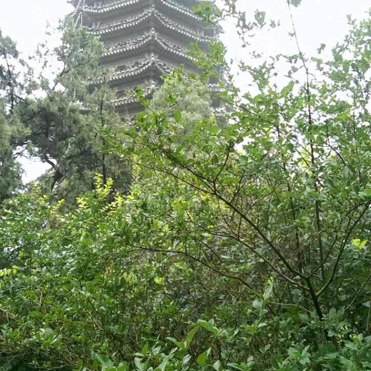 快乐幸福