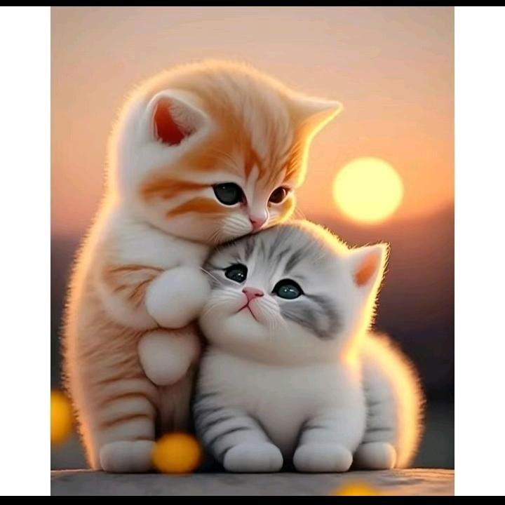 我也不知为什么