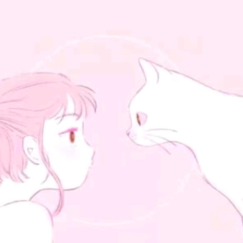 猫猫