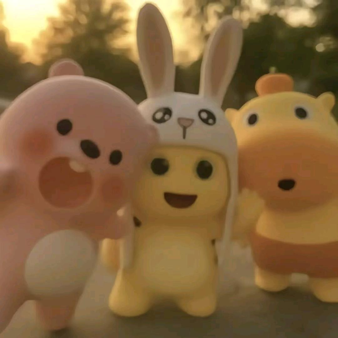 不挨揍的喵弟儿