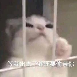 苏打可可