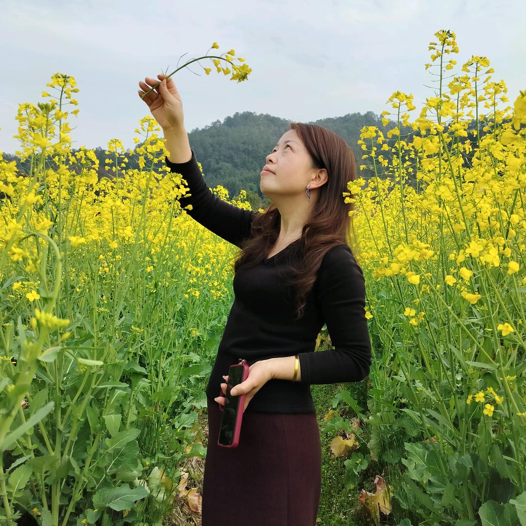 柒芬执念