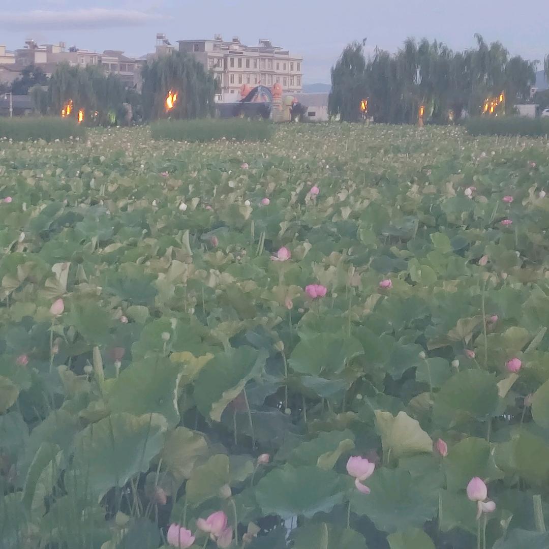 Ծ‸Ծ爱在离别时Ծ‸Ծ