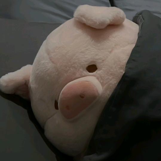 小鸡大魔王（三角洲行动）