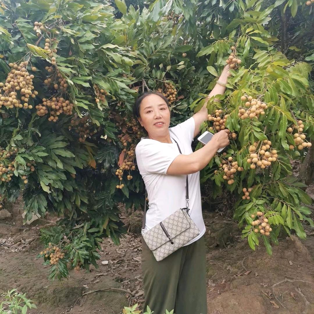 美芳