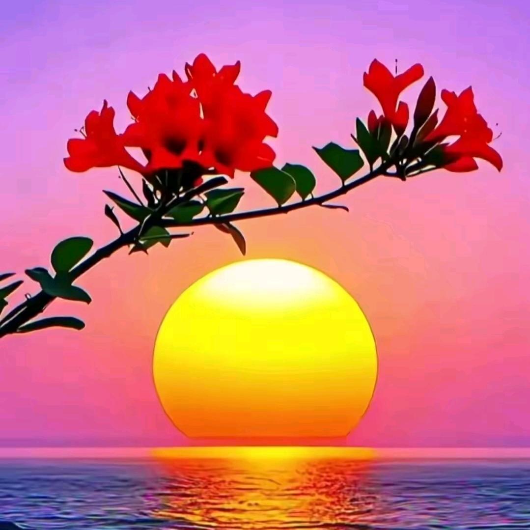 乐观小太阳