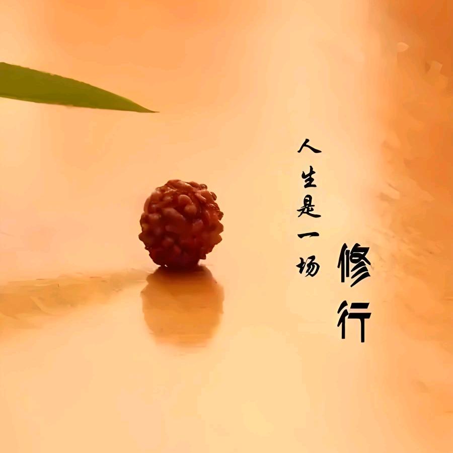 静思悟道