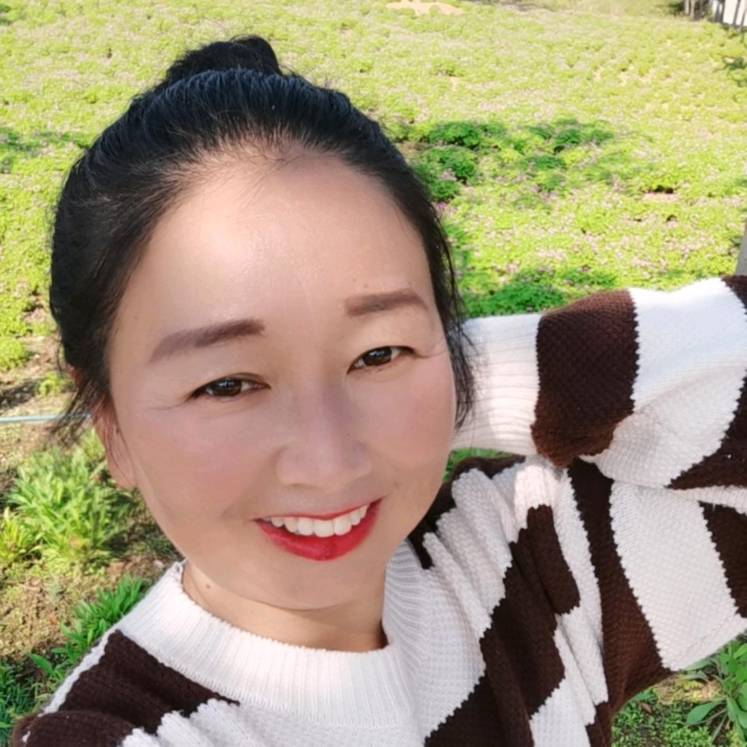 善音府—静雅五