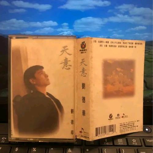 刘德华.