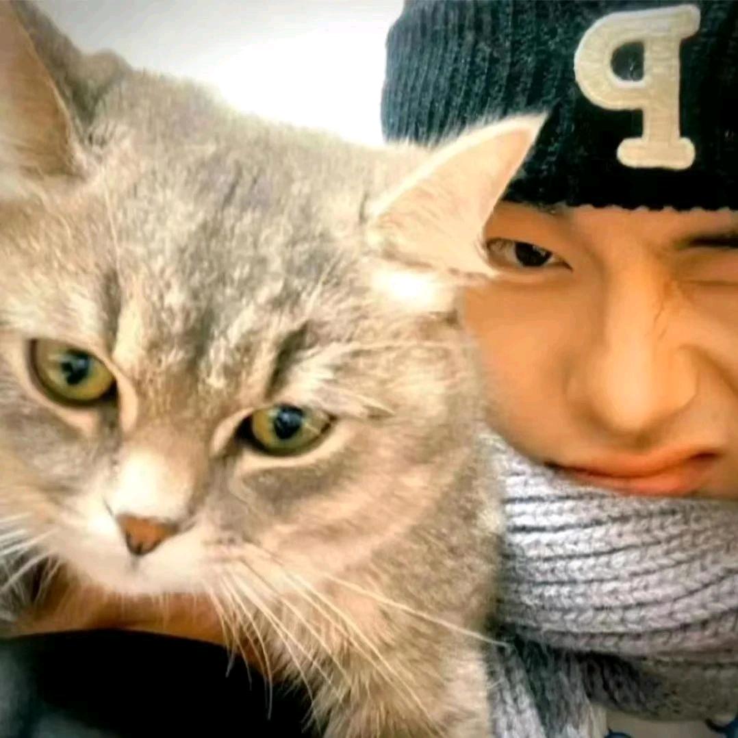 浔鱼🐟（无畏契约）