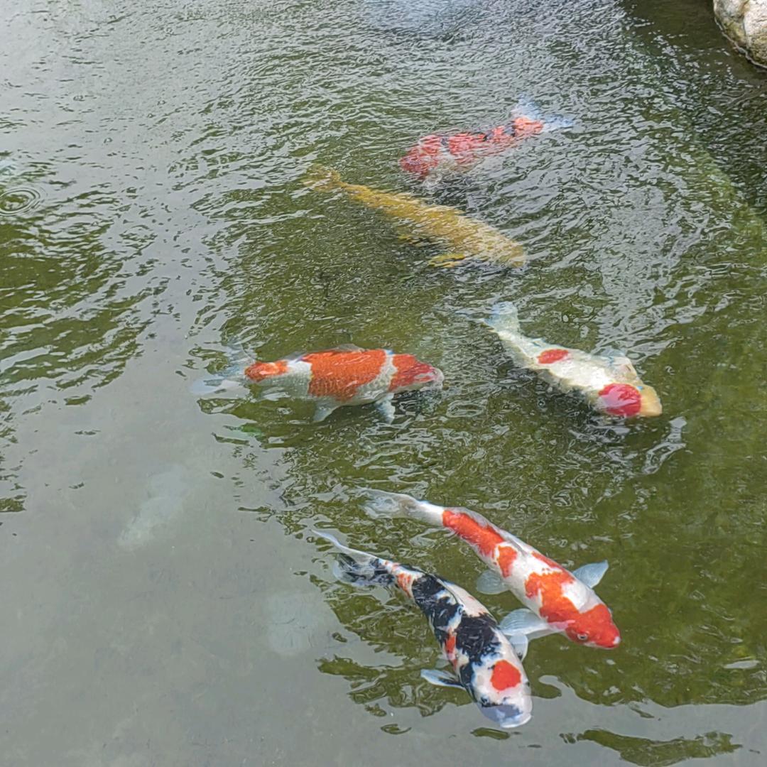 那年：我还年轻！！