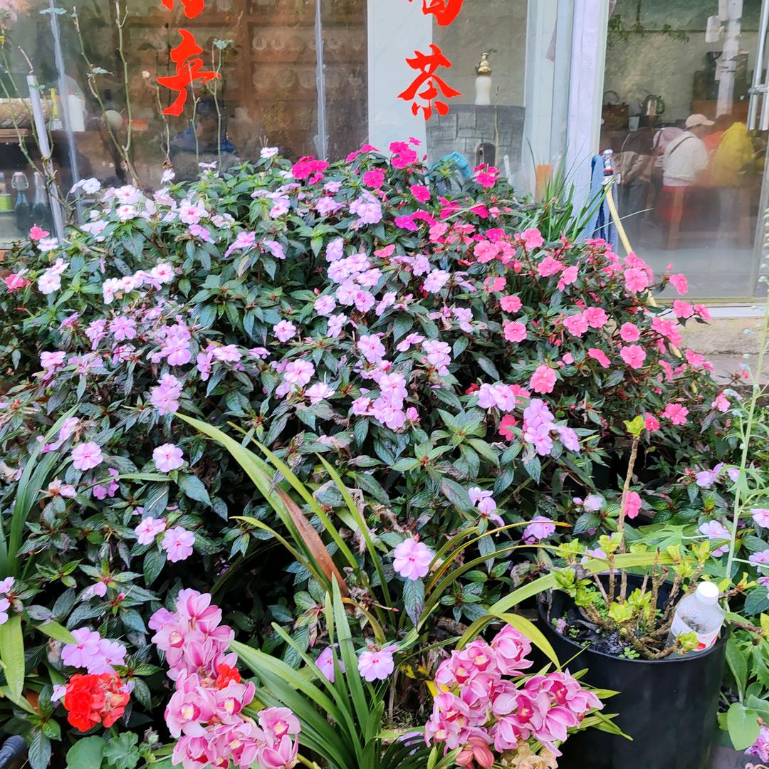 开心快乐