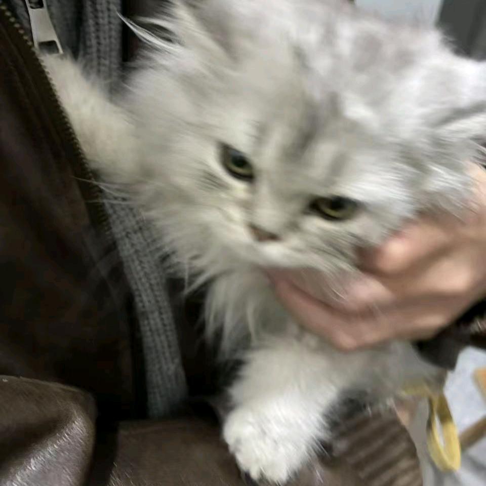 青墨..