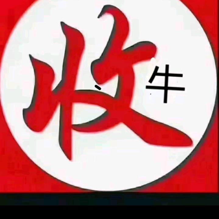 王大超牛羊肉