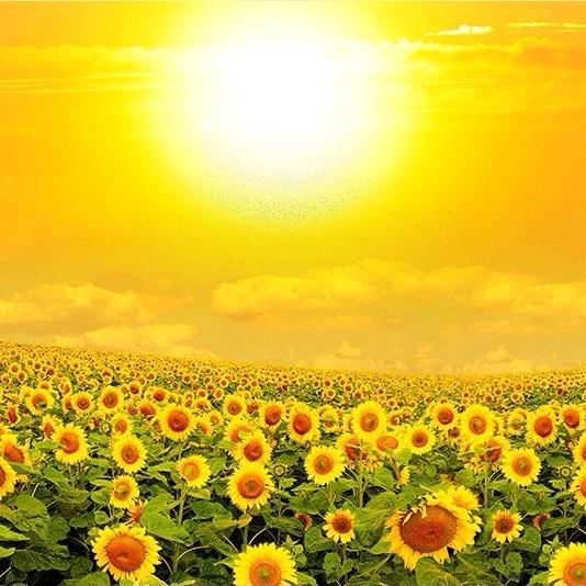 乌兰☀️☀️☀️☀️☀️☀️☀️☀️