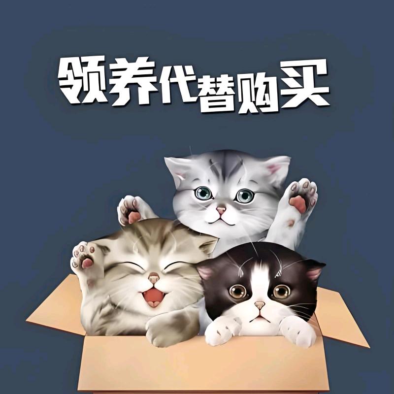 营口市青堆子流浪动物救助志愿者