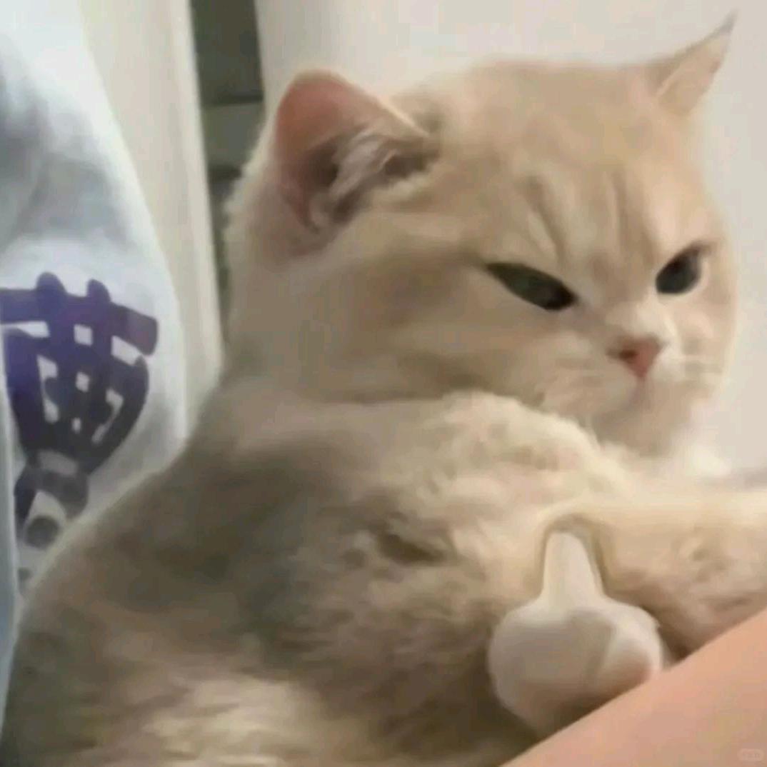 刃红枪🅴