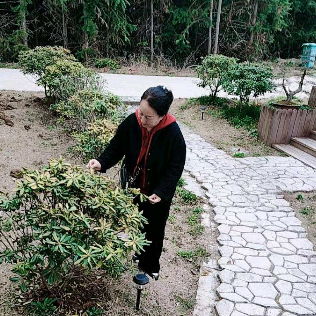 书梅服装