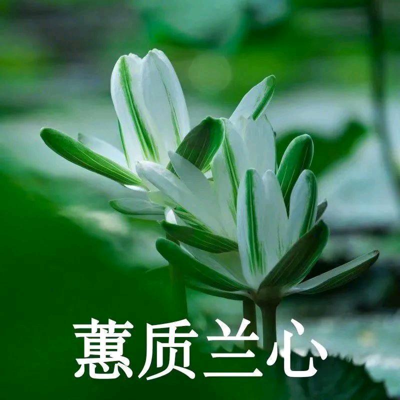 相见恨晚