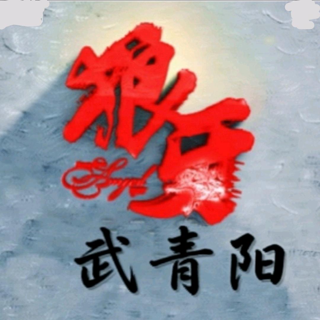 武青阳