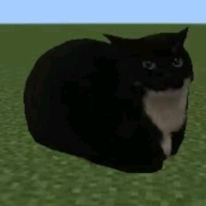 臭猫（暗区突围）