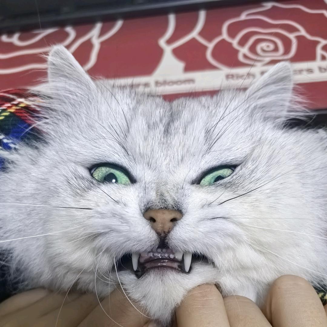 我管你这了那了
