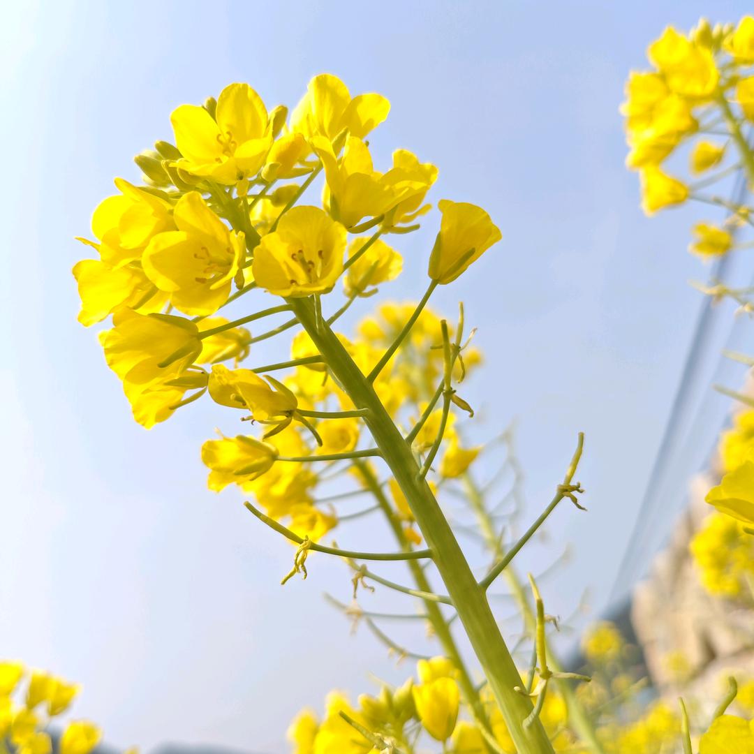 心心念念优质好物推荐