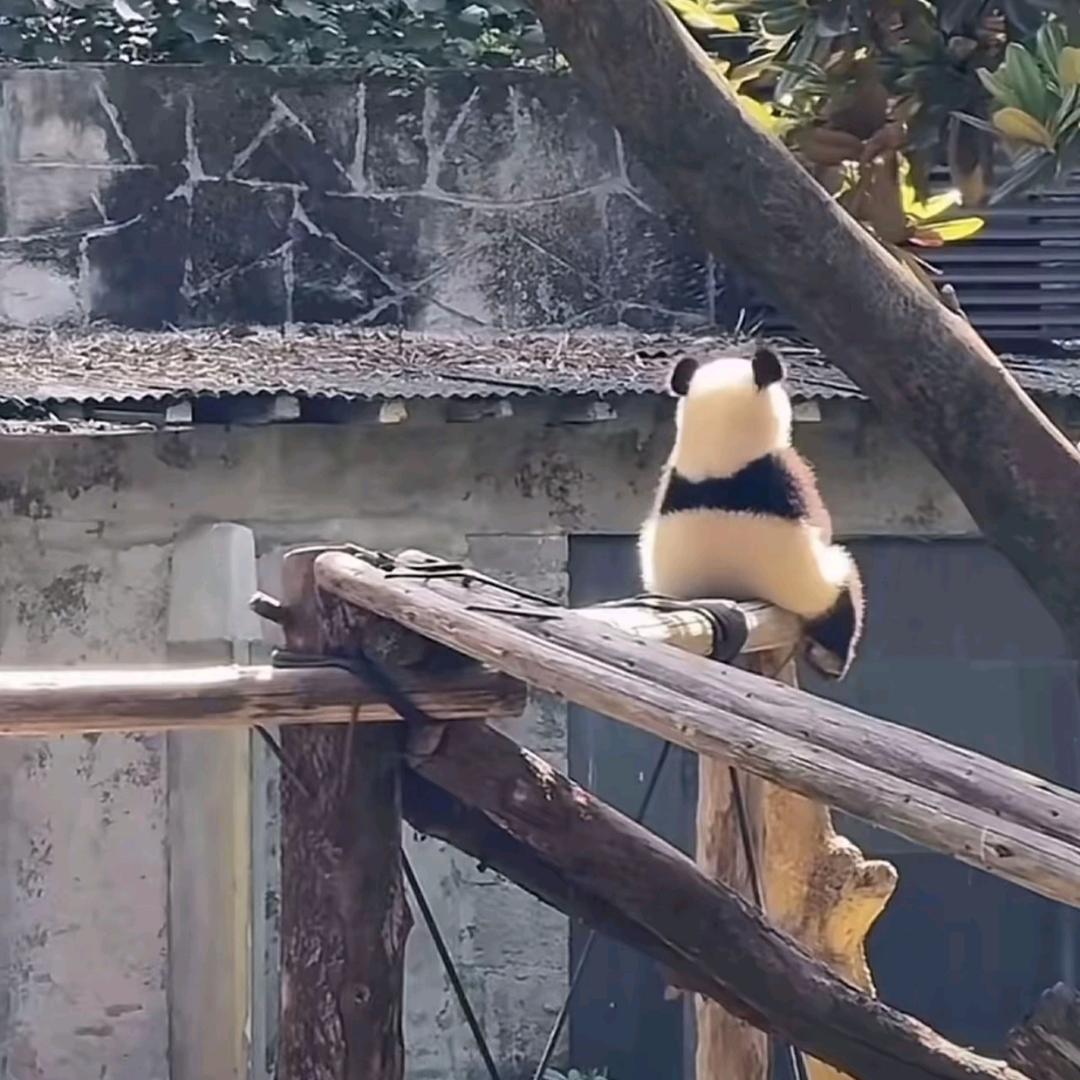 缘来不是你