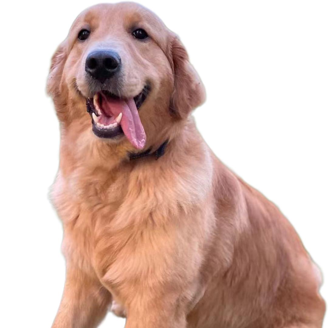 明月专业美甲美睫