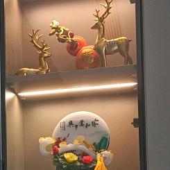 长青树