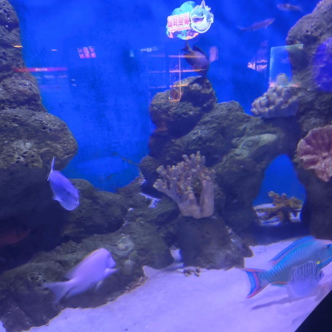 余生好好爱自己