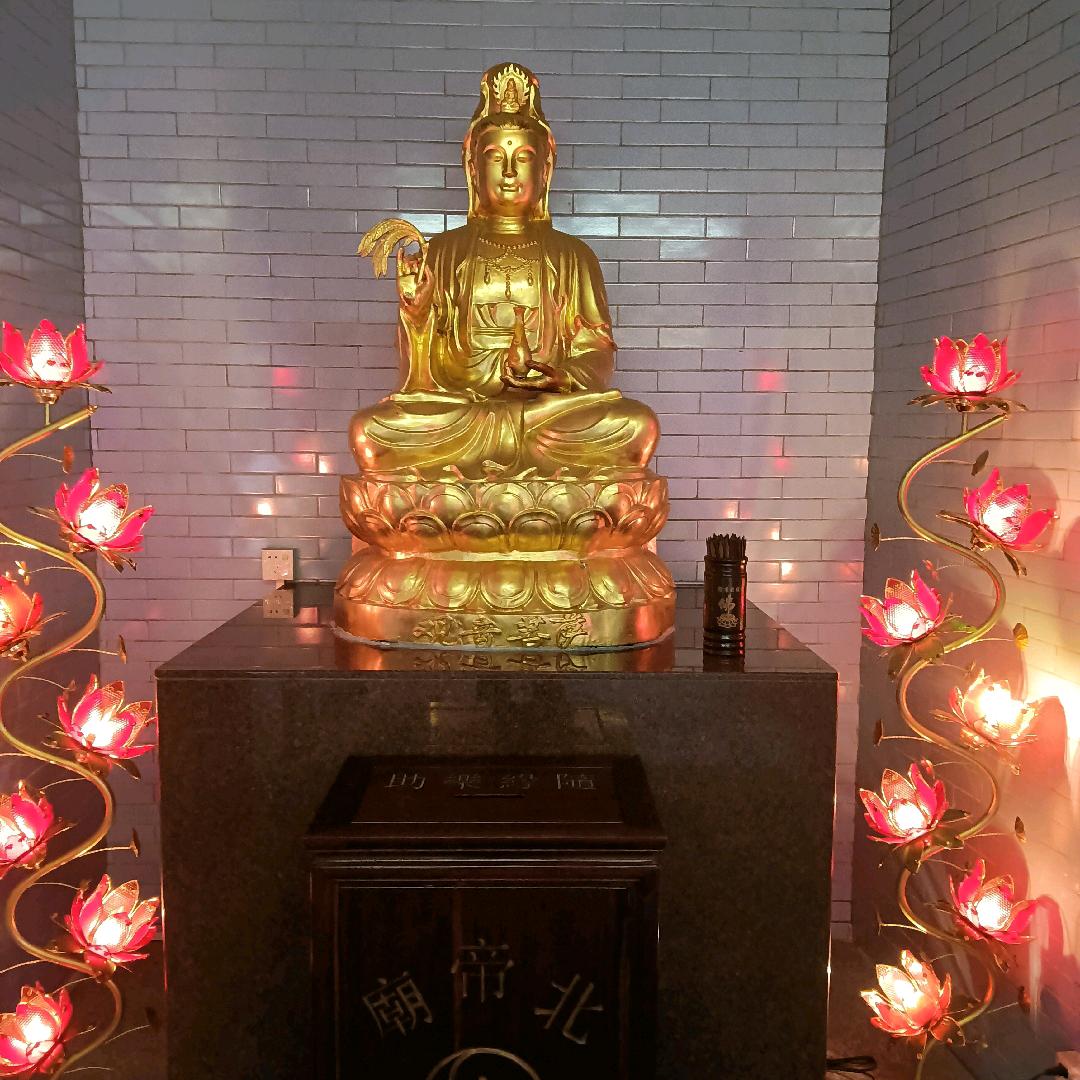 奋斗的希望