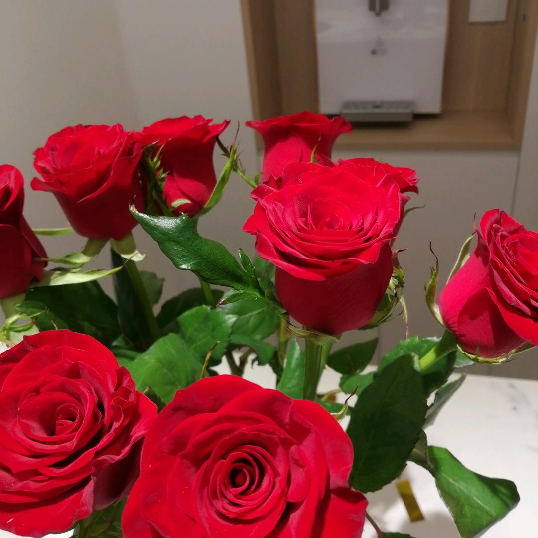 🍎🍏阳光🍓🥦