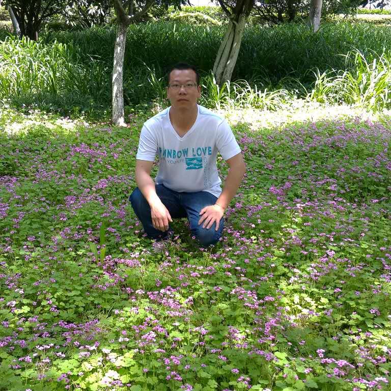 萧萧语歇之涅槃重生