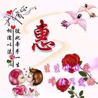 无知冰凉的心