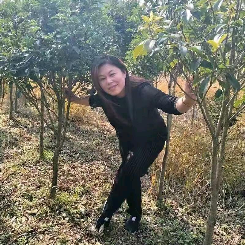 诚善为本