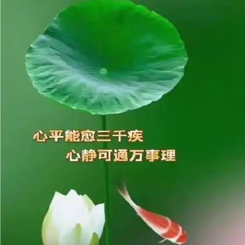 带刺玫瑰