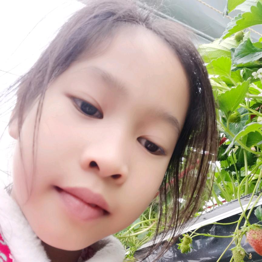 阿布