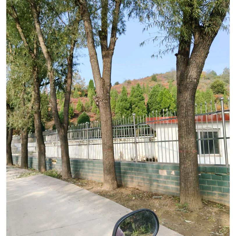 🥀ঞ为谁绽放美丽₅₂₀💞࿐