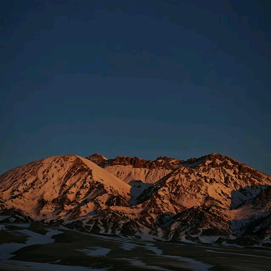 重生之伊宁市做设计师