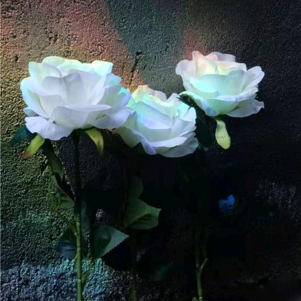 玛奇