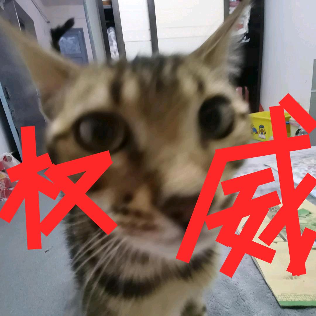 猫猫不拉屎