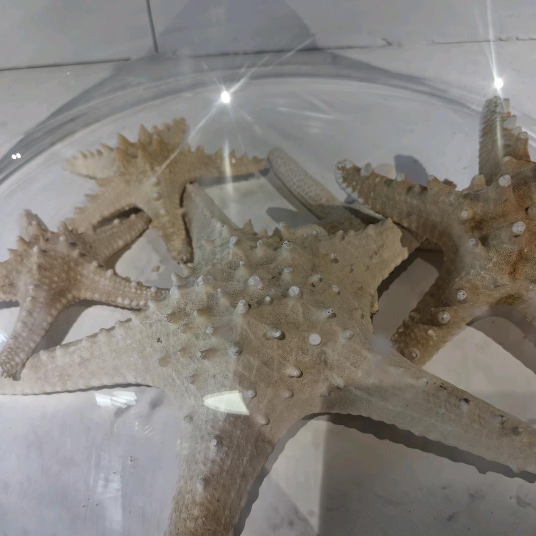 静守时光