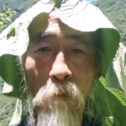 小猫涮肉
