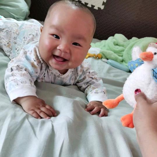 晚秋金叶